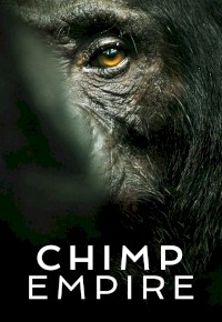 Chimp Empire