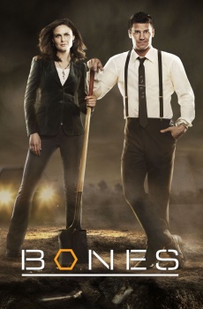 Bones