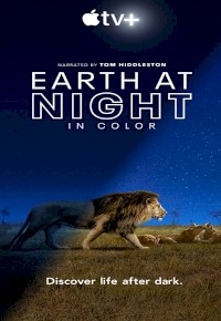 Earth at Night in Color