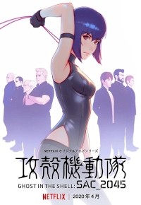 Ghost in the Shell SAC_2045